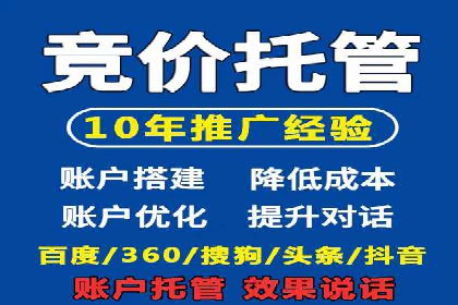 百度推广在电商行业的应用案例分析